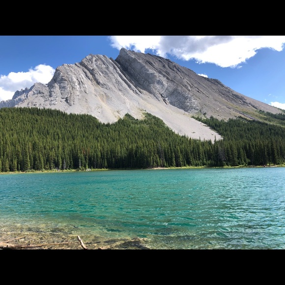 Meet your Posher, Michelle - Picture 1 of 1